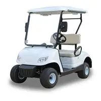 Mini electric golf cart LQG022