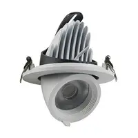 LED Universal Ceiling Light