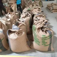 Green Bean Arabica Toraja
