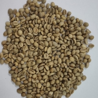Robusta Java EK1