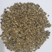 Robusta Sumatera Lampung