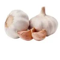 White Spring Garlic