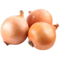 Fresh Onion