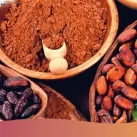 Chocolate - Cacao