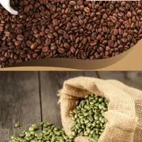 Roasted Coffee And Green Bean