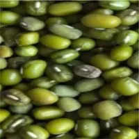 Green Mung Bean