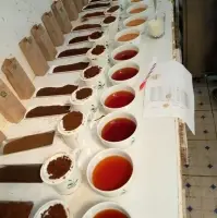 Kenyan Ctc Black Tea