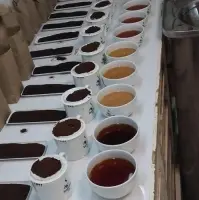 Kenyan Ctc  Black Tea