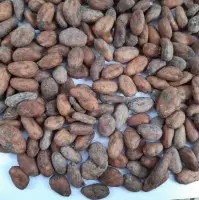 Cocoa Beans