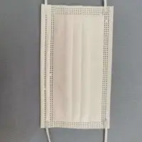 3 Ply Mask