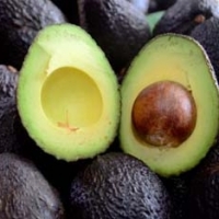 Avocado Fruit
