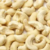 Cashew Nut