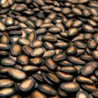 Watermelon Seeds