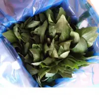 1kg Basil Box