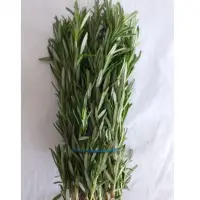 Rosemary Bunch