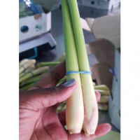 Lemongrass