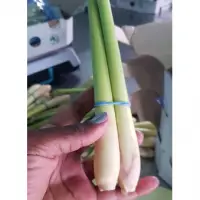 Lemongrass