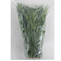 Loose Tarragon