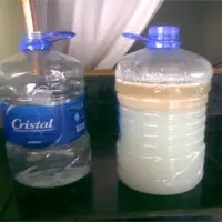 Virgin Coconut Oil