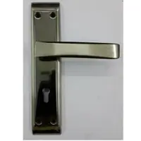 Fancy Handle + 2LVR Mortice Lockset