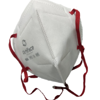 N95 Head Loop Mask