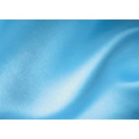 100% Polyester other weaven fabrics