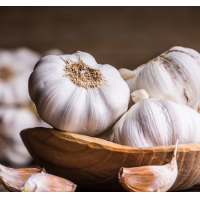 Fresh Garlic