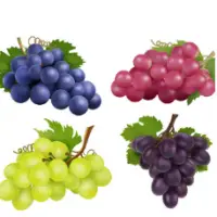 Grapes