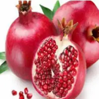 Pomegranate