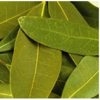 Bay Leaves
