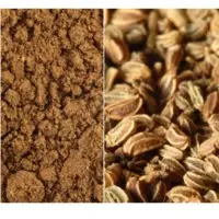 Celery Seeds And Powder