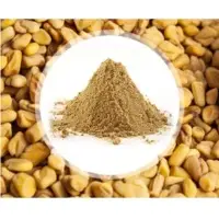 Fenugreek Seeds & Powder