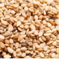 Sesame Seeds
