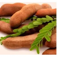 Tamarind With Seeds And Without Seeds