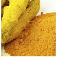 Turmeric & Turmeric Powder