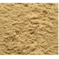 Cassia Torea Meal