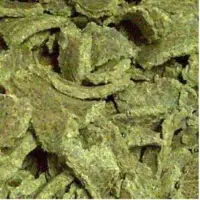 Cotton Oil Seed Cake