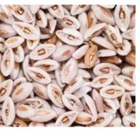 Psyllium Husk