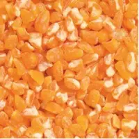 Maize Grits