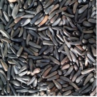 Niger Seeds