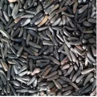 Niger Seeds