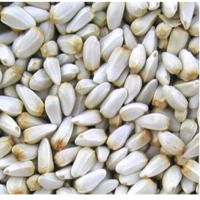Safflower Seeds