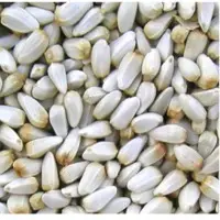 Safflower Seeds