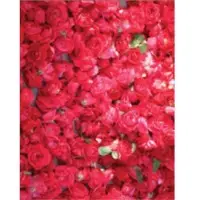 Royal rose petal wedding confetti