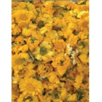 Marigold flowers