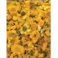 Marigold flowers