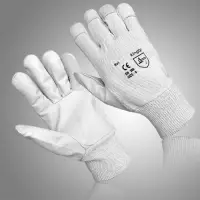 Assembly Glove