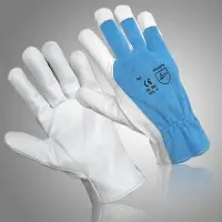 Assembly Glove