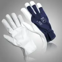 Assembly Glove
