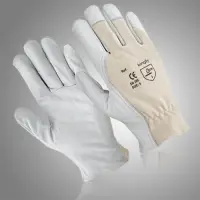 Assembly Glove